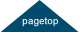 pagetop